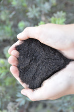 Load image into Gallery viewer, Urban Garden Outfitters Premium Organic Worm Castings-Resealable Bag