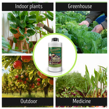 Load image into Gallery viewer, Urban Garden Outfitters-Mission Fertilizer-GROW-3-1-2
